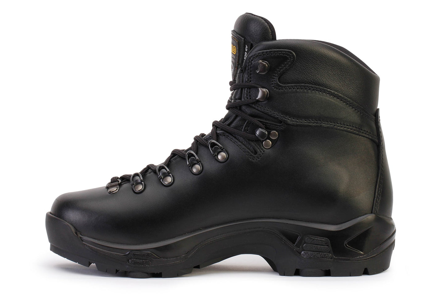 Men's TPS 520 Gv Evo Gore-Tex Boots